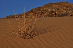 Desert Dry Sand