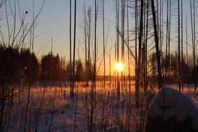 Dawn Reflection Nature landscape