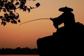 The Scenery Nature Silhouette