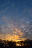 Sunset Trees outdoors