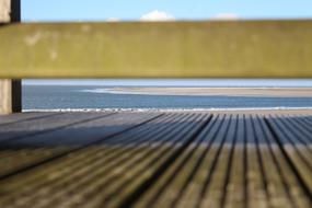 Autumn Beach Sun macro