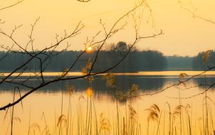 Waters Nature Dawn