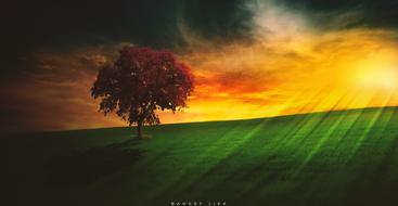 Landscape Sol Horizon
