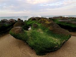 Bay Beach Horizon