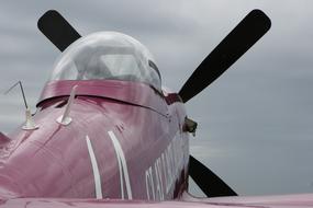 Travel P-51 Mustang aircraft