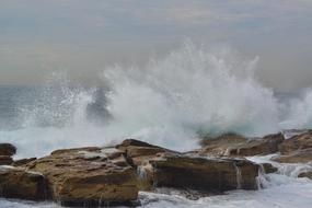 Waves Splash Coogee