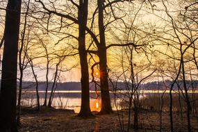 Waters Nature Dawn