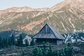 At The Court of Mountain nature