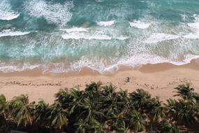 Tropical Beach Waves