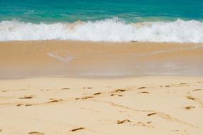 Beach Ocean Sand macro