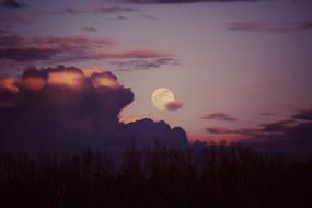 Moon at purple Sunset Dusk