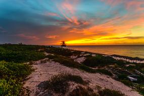 scenic coast at Sunset