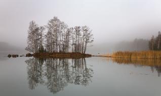 Island Lake Beach