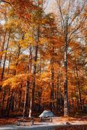 Great Smoky Mountains National park