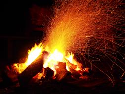 Adventure Campfire Camping