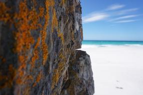 Moss Beach Rock