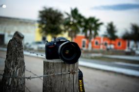 Camera on wood log