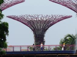 Singapore Garden By The Bay Marina
