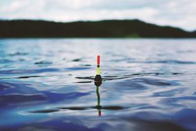 float in Blue Calm sea