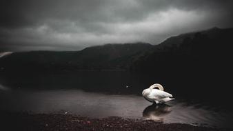 Nature Lake District