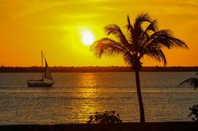 Caribbean Sunset Sailboat