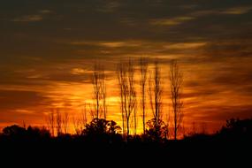 Sunset Sun Light