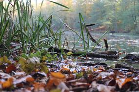 Nature Lake Water