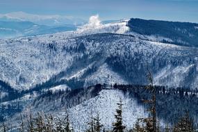 Snow Nature Winter