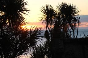 Sun Sea Beach