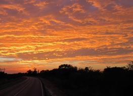 Sunset Dawn Nature
