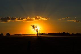 Landscape of Sunset light and Field