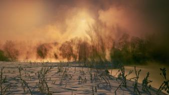 Winter Morning Snow