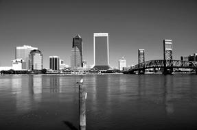 Jacksonville Florida coast Cityscape