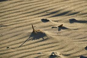 Sand Sea Wind