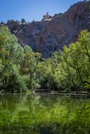 Nature Body Of Water Tree