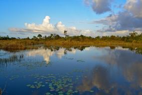 Reflection Water Nature