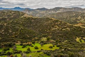 Mountains besieged by trees