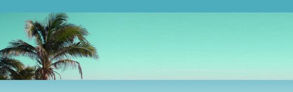 banner header palm beach vacations