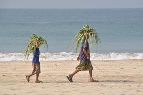 Beach Hats Hat