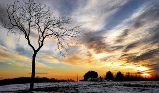 Sunset Nature Tree