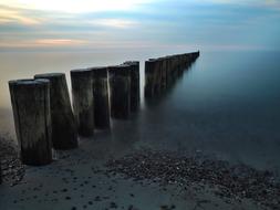 Beach Sea Wood