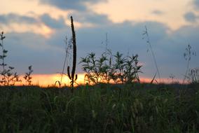 Field Sunset Sun