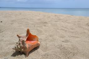 Shell Sand Beach