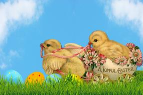 easter greeting card chicks