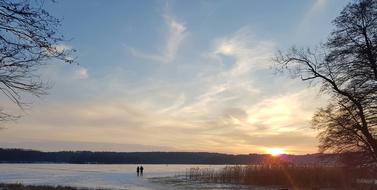 Nature Tree Panoramic