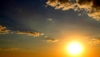 Sunset Birds Cloud