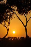 Sunset Nature Beach