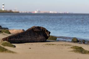 Waters Beach Coast