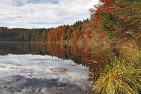 autumn forest and foliage on the surface of the lake