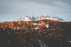Landscape Tourism A Bird&#39;S Eye
